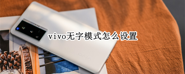 vivo无字模式怎么设置（vivo手机图标没有字如何设置）