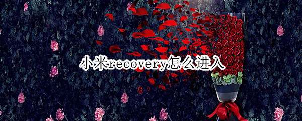 小米recovery怎么进入（小米怎么进入Recovery）