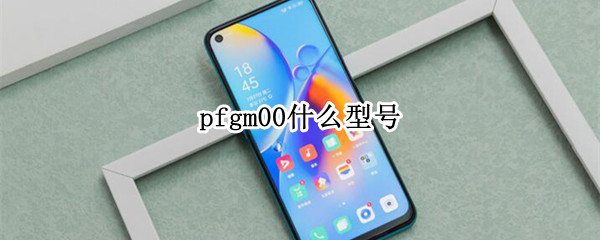 pfgm00什么型号（PFGM00什么型号）