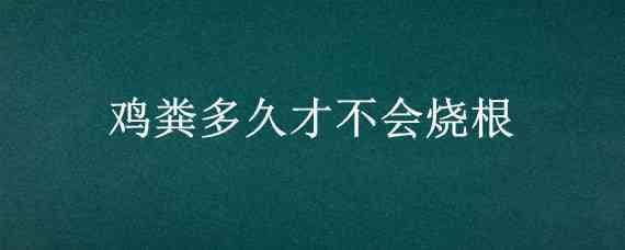 鸡粪多久才不会烧根_养鸡人必看