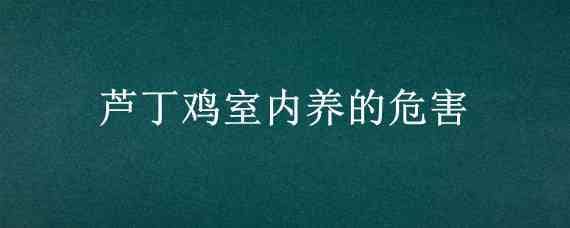 芦丁鸡室内养的危害_养鸡人必看