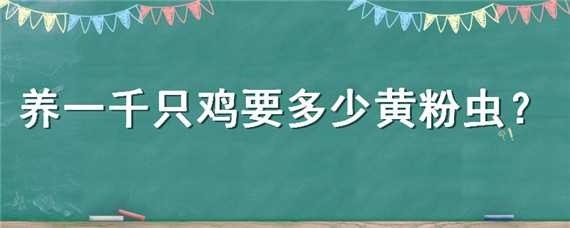 养一千只鸡要多少黄粉虫