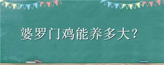 婆罗门鸡能养多大