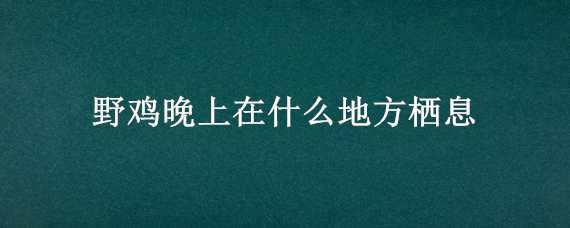 野鸡晚上在什么地方栖息