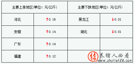 猪评：猪价持续上涨（最新猪价上涨）