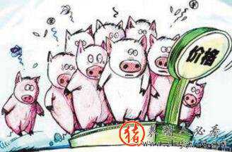 农民学养猪，9月猪价分析及未来几月趋势
