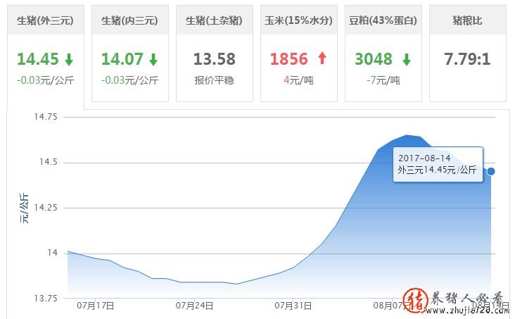 猪价连续下跌6天，猪应该什么时候卖？看这个！