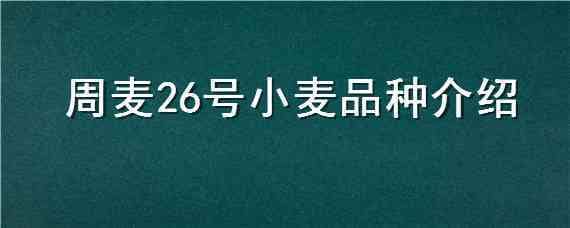 周麦26号小麦品种介绍 周麦23小麦品种介绍