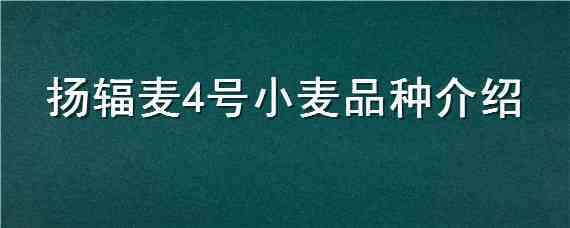 扬辐麦4号小麦品种介绍（扬辐麦6号小麦种产量多少）