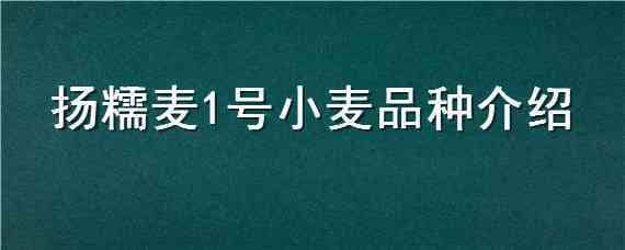 扬糯麦1号小麦品种介绍（商麦1号麦种品种特性）