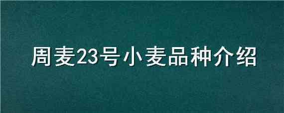 周麦23号小麦品种介绍 周麦19号小麦品种大全