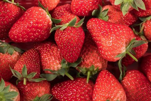 草莓出血热是什么 草莓热是什么病