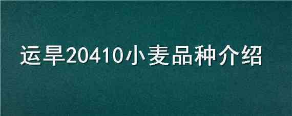 运旱20410小麦品种介绍 运旱618是不是小麦良种