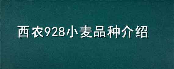 西农928小麦品种介绍 西农928小麦品种简介