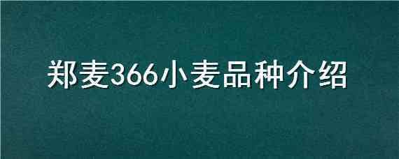 郑麦366小麦品种介绍（郑麦369小麦品种特性）