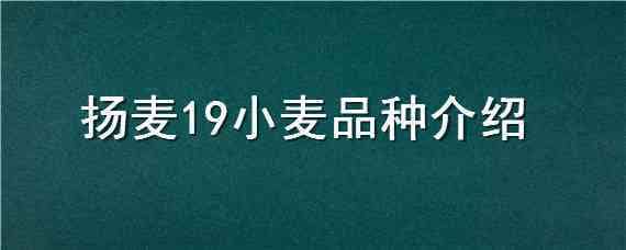 扬麦19小麦品种介绍 扬麦29种植特点是什么