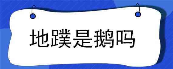 地蹼是鹅吗（地蹼是鹅还是鸟）