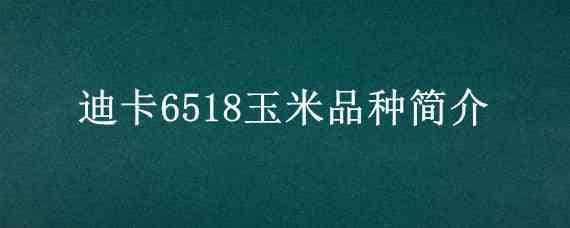 迪卡6518玉米品种简介 迪卡6565玉米品种介绍