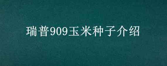 瑞普909玉米种子介绍（瑞普908玉米种子）