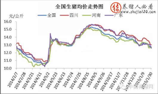 2015年1月国内生猪市场走势 2016全国生猪价格走势图