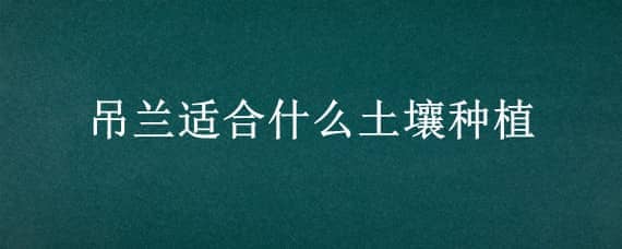 吊兰适合什么土壤种植 吊兰适合什么土壤生长