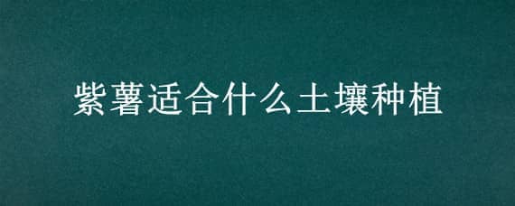 紫薯适合什么土壤种植 紫薯的种植方法和环境要求