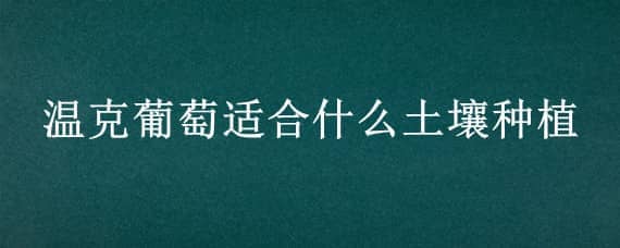 温克葡萄适合什么土壤种植 葡萄适合什么温度种植