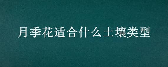 月季花适合什么土壤类型 月季喜欢什么样的土壤什么性质的土壤