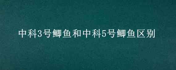 中科3号鲫鱼和中科5号鲫鱼区别（中科3号鲫鱼和土鲫鱼的区别）