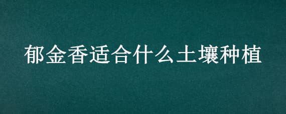 郁金香适合什么土壤种植（郁金香适合什么样的土壤）