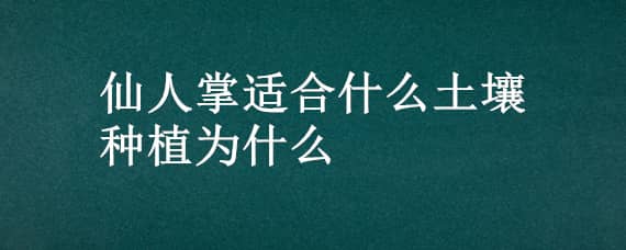 仙人掌适合什么土壤种植为什么（仙人掌适合的土壤）