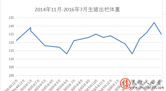 利润、猪价 猪价低于多少钱没利润