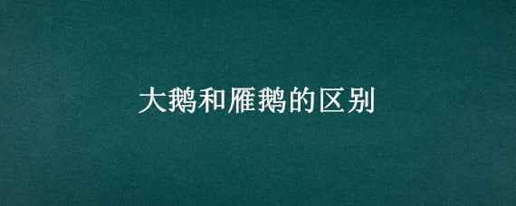 大鹅和雁鹅的区别（大鹅和雁鹅的区别图片）