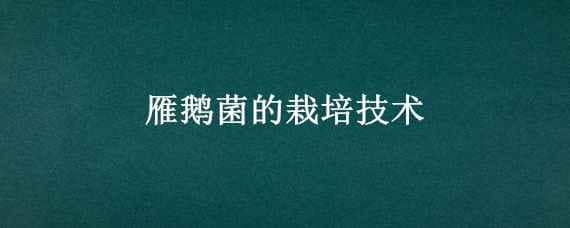 雁鹅菌的栽培技术 雁鹅菇栽培技术