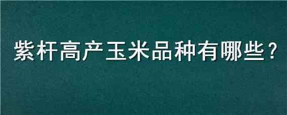 紫杆高产玉米品种有哪些 紫杆紫叶高产玉米种子