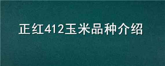 正红412玉米品种介绍（正红532玉米种子）