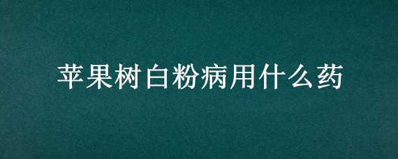 苹果树白粉病用什么药（果树白粉病用什么药好）