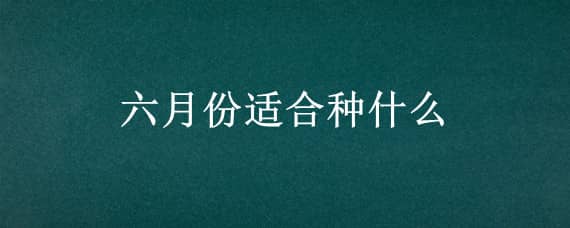 六月份适合种什么 六月份适合种什么蔬菜