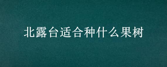 北露台适合种什么果树（北方露台适合种什么果树）