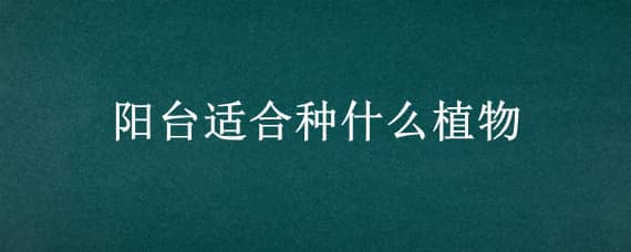 阳台适合种什么植物（封闭阳台适合种什么植物）