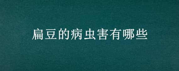 扁豆的病虫害有哪些 扁豆的病虫害有哪些图片