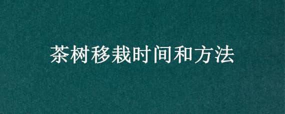 茶树移栽时间和方法 茶树移栽时间和方法视频