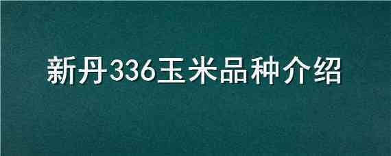 新丹336玉米品种介绍 新丹336玉米好吗