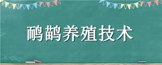 鸸鹋养殖技术（鸸鹋养殖技术目标市场）