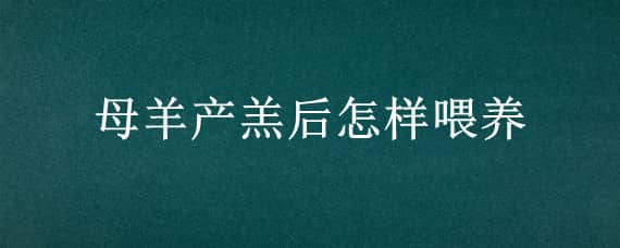 母羊产羔后怎样喂养（母羊刚下完羔如何喂养）