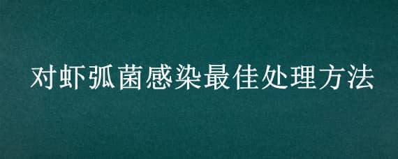 对虾弧菌感染最佳处理方法（对虾养殖弧菌怎样处理）