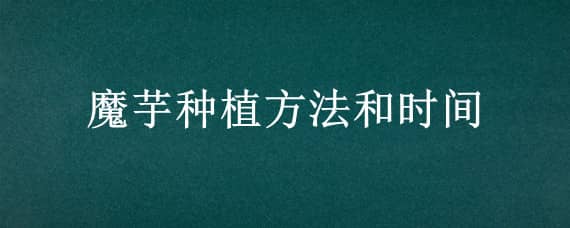 魔芋种植方法和时间 魔芋种植方法和时间温度