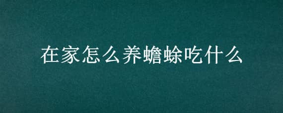 在家怎么养蟾蜍吃什么（在家怎么养蟾蜍吃什么药）