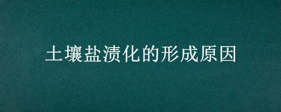 土壤盐渍化的形成原因（土壤盐渍化的形成原因及防治对策）