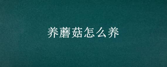 养蘑菇怎么养 养蘑菇怎么养殖视频